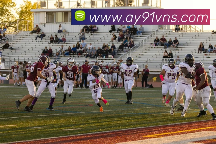 威尼斯中国网站APP 封面图